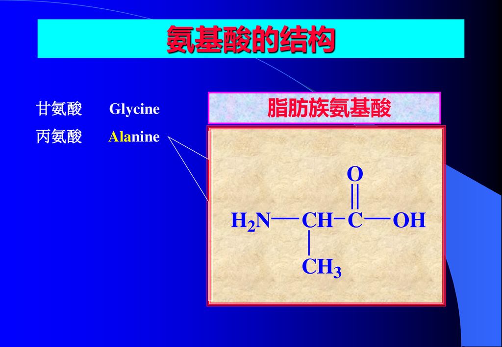 氨基酸,多肽与蛋白质 第一节 氨基酸 一,氨基酸的结构和分类 除甘氨酸